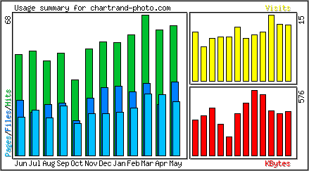 Monthly Overview